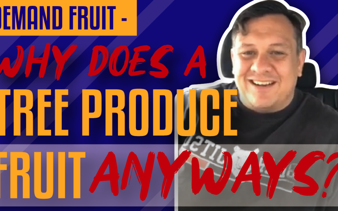 Demand Fruit – Why Does A Tree Produce Fruit Anyways?